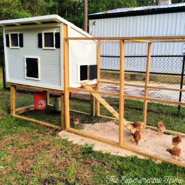 How To Build A Chicken Coop With Run - The Experimental Home