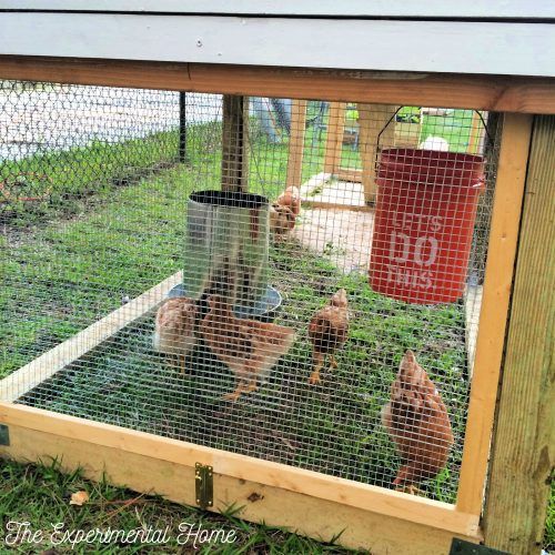 How To Build A Chicken Coop With Run - The Experimental Home