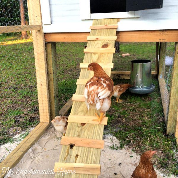 How To Build A Chicken Coop With Run - The Experimental Home