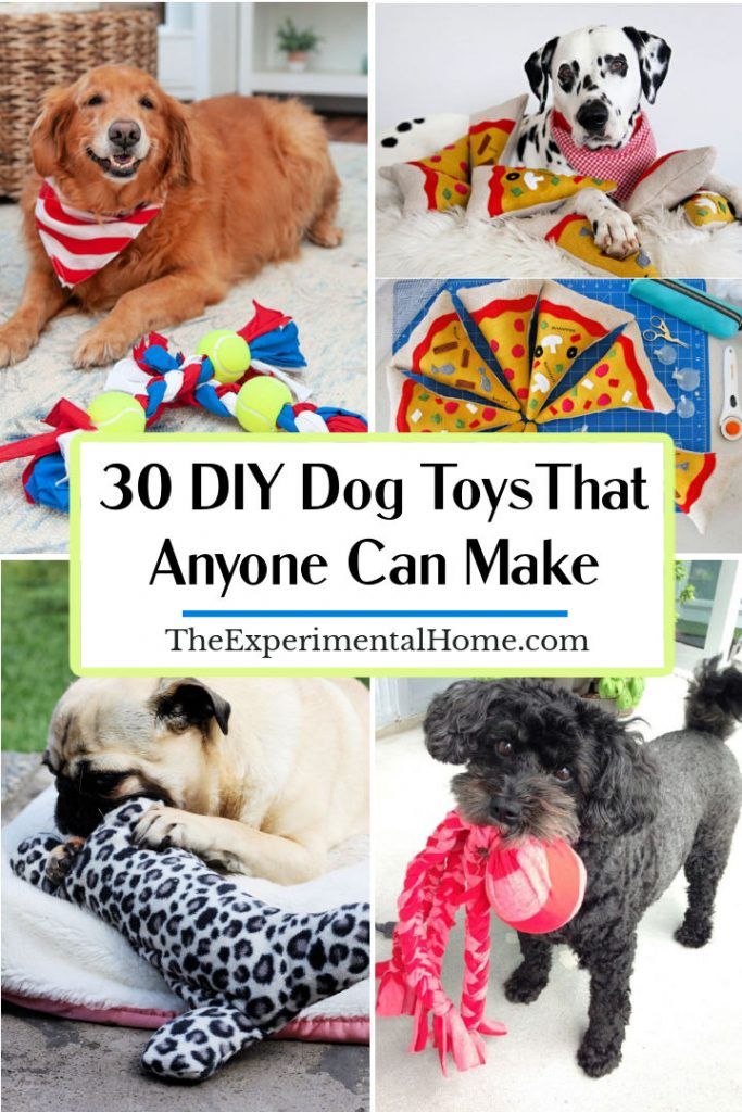 30 Easy DIY Dog Toys That Anyone Can Make